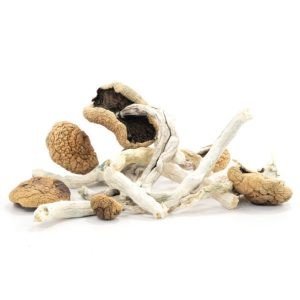 Arenal Volcano Magic Mushrooms