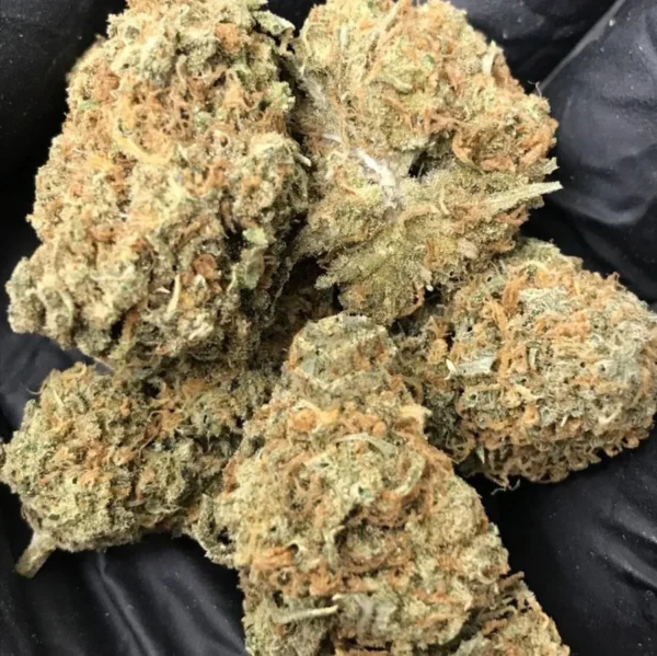 Mango-Haze-HYBRID-3.5G.webp