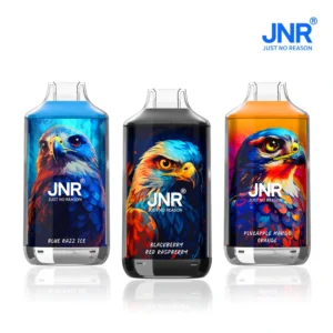 JNR VAPES 16K